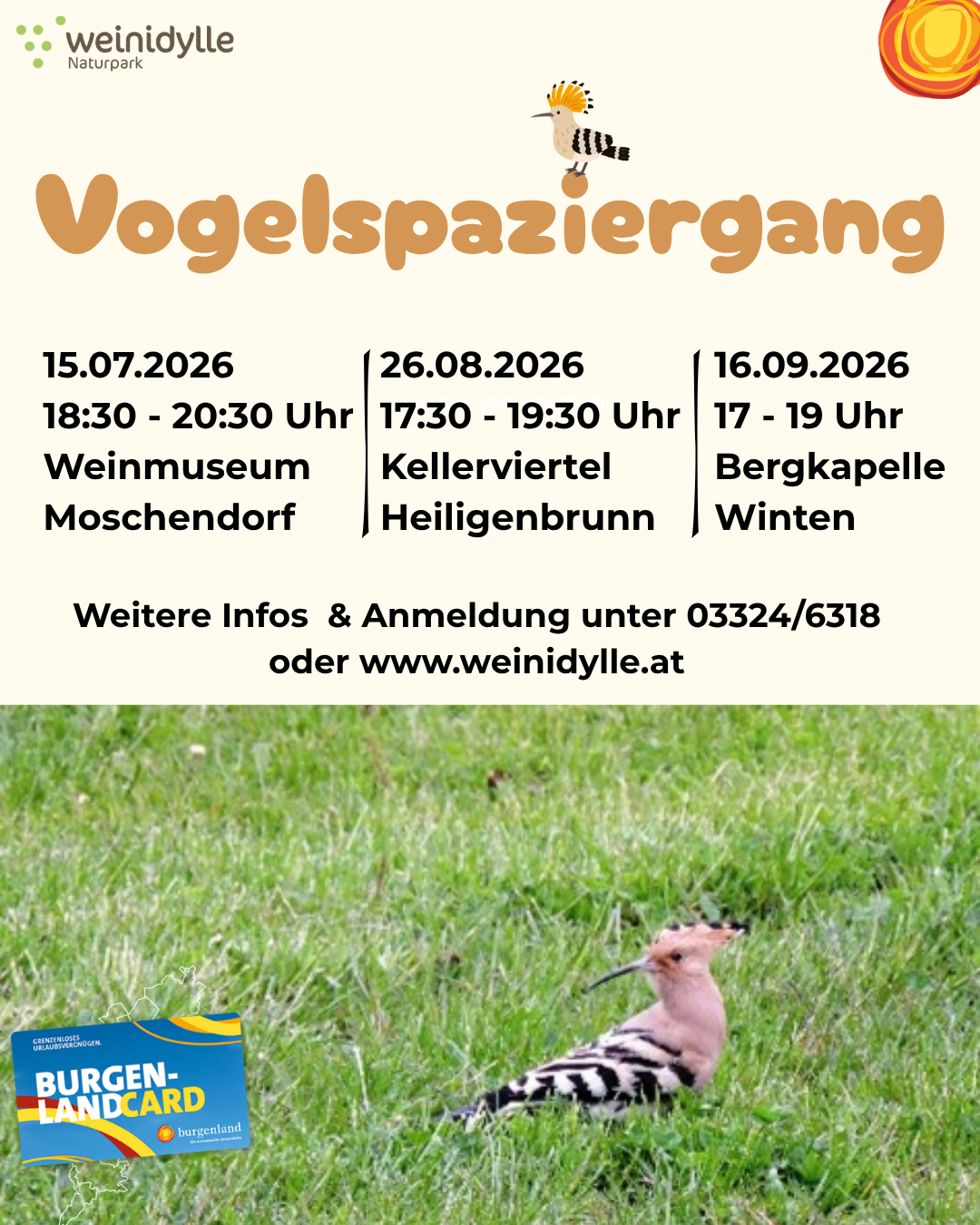 Vogelspaziergang 1